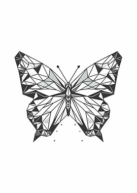 Butterfly Geometric Design