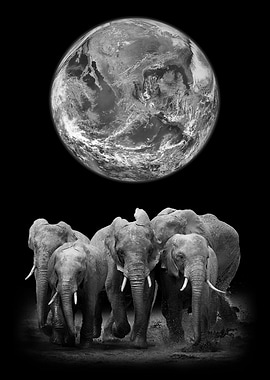 Elephants and earth