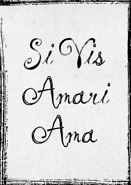 Si Vis Amari Ama Latin