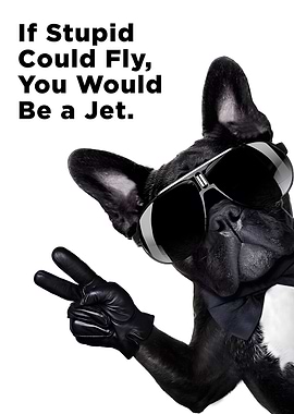 Flying Stupid