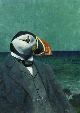 Puffin Gentleman