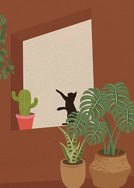 Cat at terracotta room