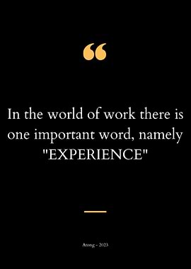 Experience