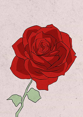 red rose