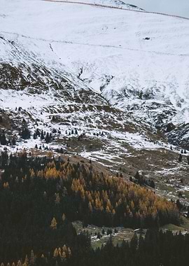 Seasonal Slope Palette