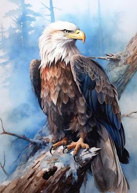Eagle Animal
