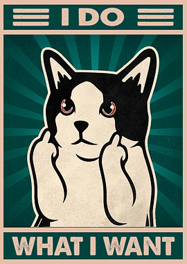 i do what i want funny