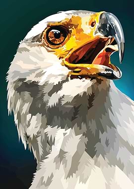eagle animals