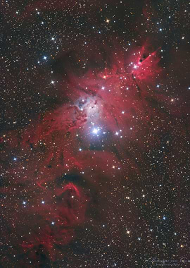 Christmas Tree Cluster