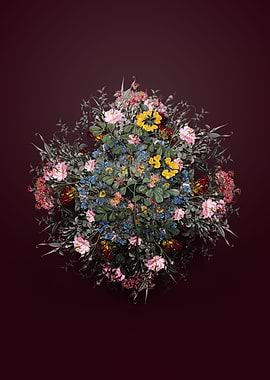 Scorpion Vetch Plant