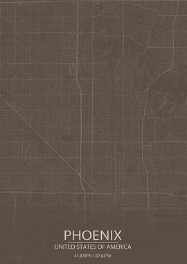 Phoenix AZ Grey Brown Map