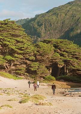 Big Sur California Travel