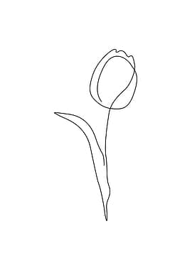 Tulip flower one line art