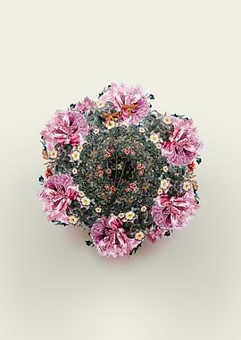 Gladiolus Watsonius Wreath