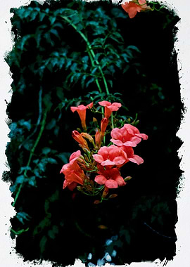 Flower version Watercolor