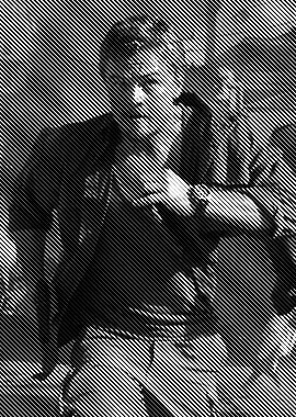 the wofl of wall street