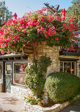 Carmel California Flowers