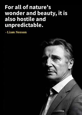 Liam Neeson quotes