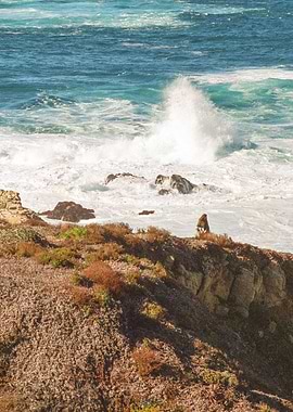 Big Sur California Waves