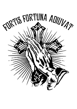 fortis fortuna adiuvat