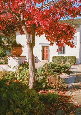 Monterey California Street