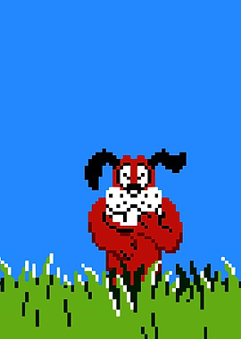 Duck hunt