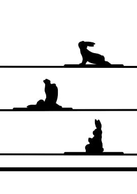 Yoga rabbit