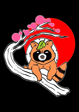 Japanese Racoon Asian and