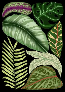 Tropical Leaves