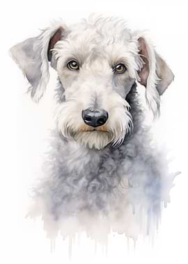 Bedlington terrier