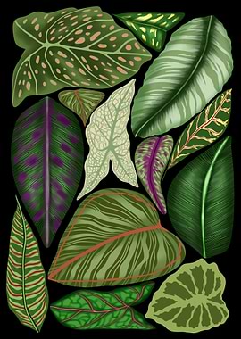 Tropical Leaves