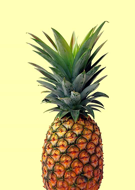 pineapple in yellow