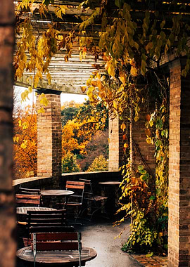 Autumn Garden Cafe