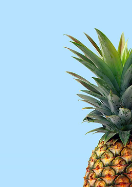 pineapple in blue