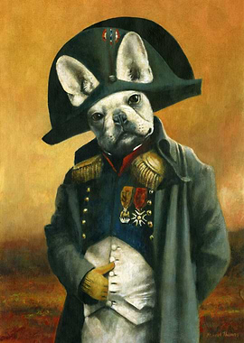 Napoleon French Bulldog