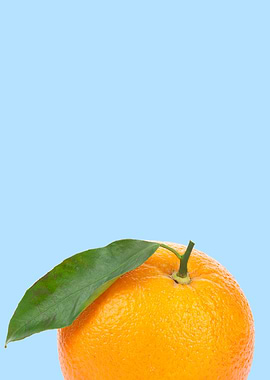 fresh orange in blue