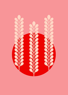 Grain and red sunset