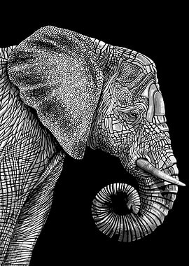 animals elephant