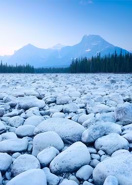 alberta during sunrise