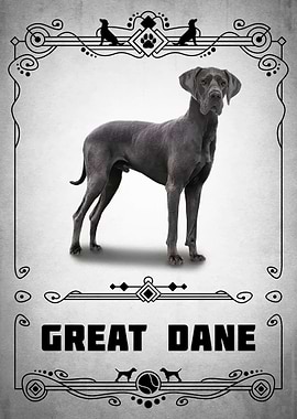 Great Dane