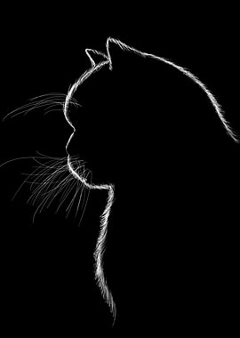 Silhouette of a cat 2