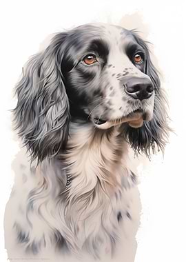 English setter dog