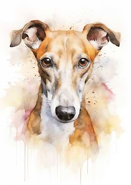 Greyhound watercolor