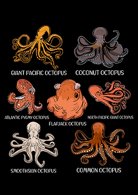 Octopus Species Kraken