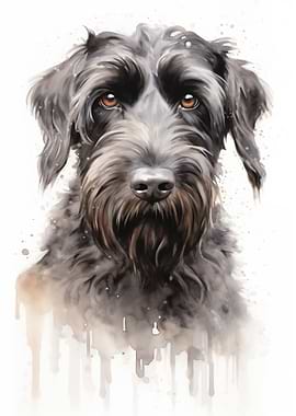 Black russian terrier dog