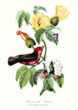 Bird and Floral Vintage