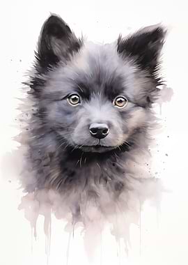 Schipperke watercolor
