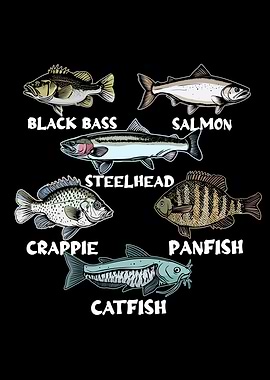 North America Fish Species