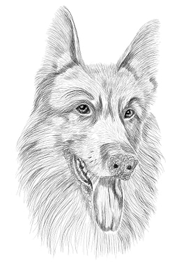 Scribble art dog drawing