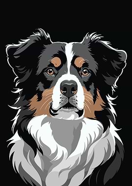 Australian Shepherd